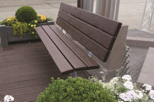 BANC "senior"