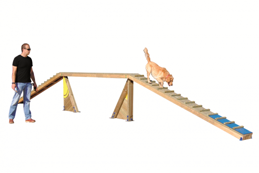 ATELIER Éduc' Canin...