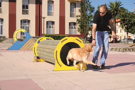 ATELIER Éduc' Canin "tunnel"