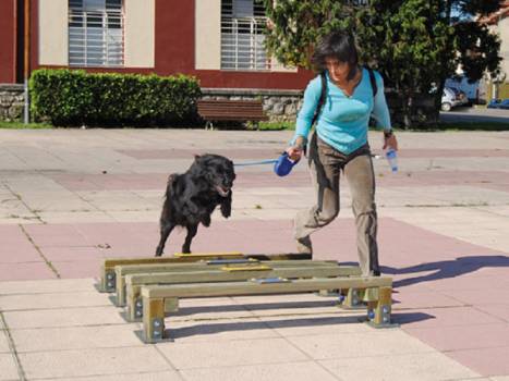 ATELIER Éduc' Canin "saut...