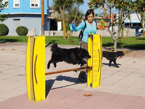 ATELIER Éduc' Canin "saut...
