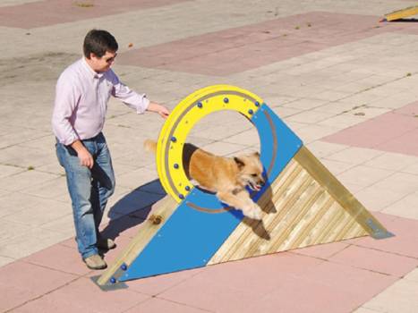 ATELIER Éduc' Canin "la roue"
