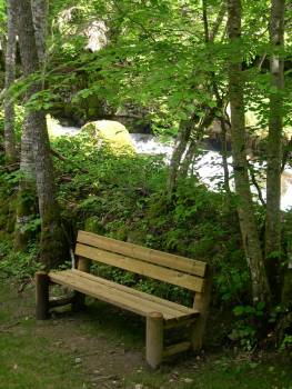 Banc forestier
